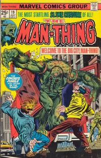 Cover Thumbnail for Man-Thing (Marvel, 1974 series) #19 [Regular]