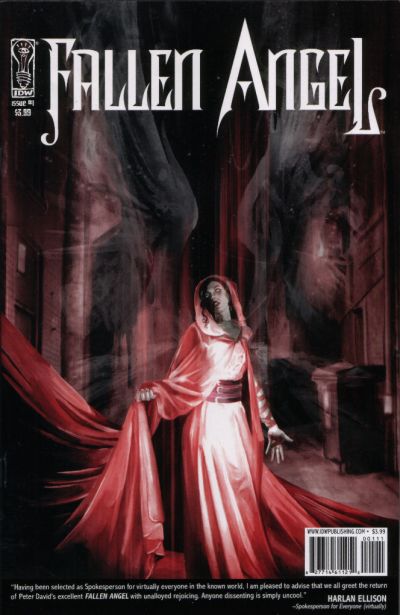 Cover for Fallen Angel (IDW, 2005 series) #1 [Cover A]