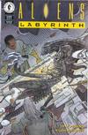 Cover for Aliens: Labyrinth (Dark Horse, 1993 series) #2