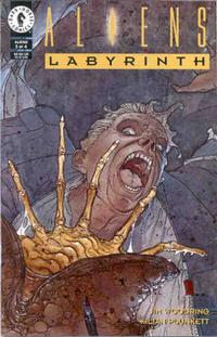 Cover Thumbnail for Aliens: Labyrinth (Dark Horse, 1993 series) #3