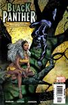 Cover for Black Panther (Marvel, 2005 series) #16 [Direct Edition]