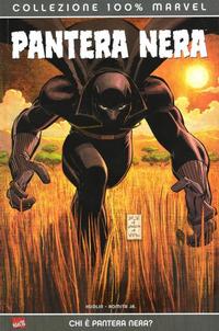 Cover Thumbnail for 100% Marvel: Pantera Nera (Panini, 2005 series) 