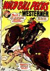 Cover for The Westerner Comics (Orbit-Wanted, 1948 series) #41