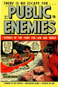 Cover Thumbnail for Public Enemies (D.S. Publishing, 1948 series) #v1#5