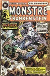 Cover for Le Monstre de Frankenstein (Editions Héritage, 1973 series) #17