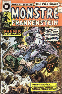 Cover Thumbnail for Le Monstre de Frankenstein (Editions Héritage, 1973 series) #17