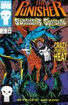 Cover Thumbnail for The Punisher Summer Special (1991 series) #1 [Direct]