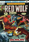 Cover for Red Wolf (Marvel, 1972 series) #6