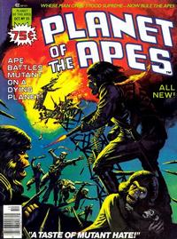 Cover Thumbnail for Planet of the Apes (Marvel, 1974 series) #25