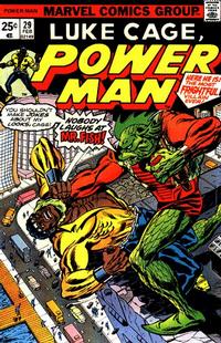 Cover Thumbnail for Power Man (Marvel, 1974 series) #29