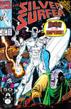 Cover Thumbnail for Silver Surfer (1987 series) #53
