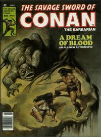 Cover Thumbnail for The Savage Sword of Conan (Marvel, 1974 series) #40