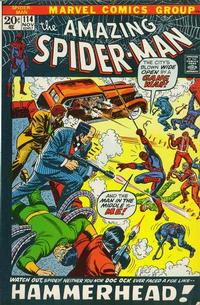 Cover for The Amazing Spider-Man (Marvel, 1963 series) #114 [Regular Edition]