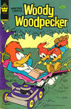 Cover for Walter Lantz Woody Woodpecker (Western, 1962 series) #193