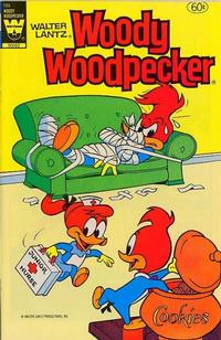Cover Thumbnail for Walter Lantz Woody Woodpecker (Western, 1962 series) #199