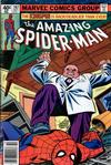 Cover Thumbnail for The Amazing Spider-Man (1963 series) #197 [Newsstand]