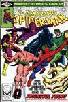 Cover Thumbnail for The Amazing Spider-Man (1963 series) #214 [Direct]