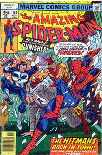 Cover Thumbnail for The Amazing Spider-Man (Marvel, 1963 series) #174 [Regular Edition]