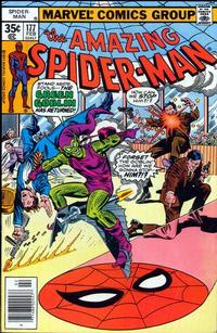 Cover for The Amazing Spider-Man (Marvel, 1963 series) #177