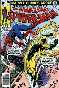 Cover for The Amazing Spider-Man (Marvel, 1963 series) #193 [Newsstand]