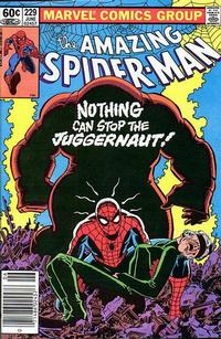 Cover Thumbnail for The Amazing Spider-Man (Marvel, 1963 series) #229 [Newsstand]