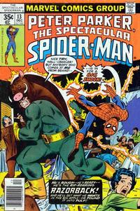 Cover Thumbnail for The Spectacular Spider-Man (Marvel, 1976 series) #13