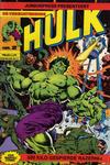 Cover for De verbijsterende Hulk (Juniorpress, 1979 series) #2
