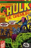 Cover for De verbijsterende Hulk (Juniorpress, 1979 series) #24