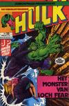 Cover for De verbijsterende Hulk (Juniorpress, 1979 series) #25