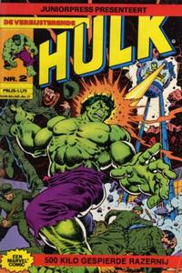 Cover Thumbnail for De verbijsterende Hulk (Juniorpress, 1979 series) #2