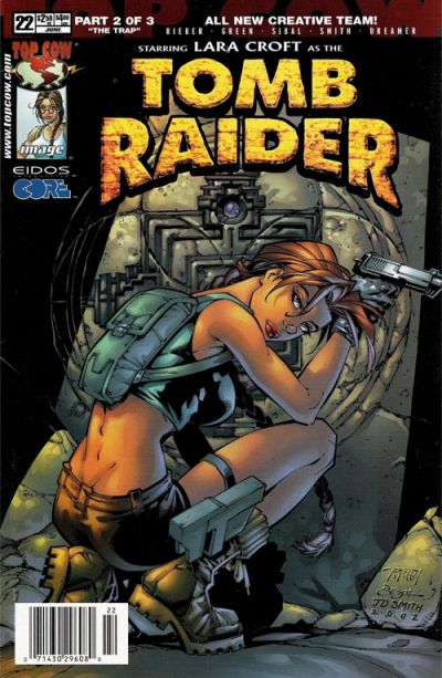 Cover for Tomb Raider: The Series (Image, 1999 series) #22