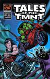 Cover for Tales of the TMNT (Mirage, 2004 series) #17