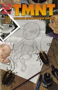 Cover Thumbnail for TMNT: Teenage Mutant Ninja Turtles (Mirage, 2001 series) #22