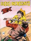 Cover for Tex [Tex Gigante - II Serie] (Sergio Bonelli Editore, 1958 series) #294