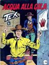 Cover for Tex [Tex Gigante - II Serie] (Sergio Bonelli Editore, 1958 series) #309