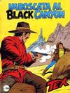 Cover for Tex [Tex Gigante - II Serie] (Sergio Bonelli Editore, 1958 series) #318