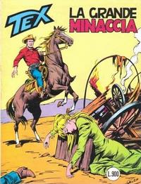 Cover Thumbnail for Tex [Tex Gigante - II Serie] (Sergio Bonelli Editore, 1958 series) #276