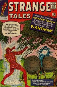 Cover for Strange Tales (Marvel, 1951 series) #113