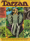 Cover for Groot Tarzan-boek (Classics/Williams, 1971 series) #1