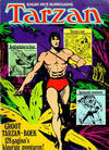 Cover for Groot Tarzan-boek (Classics/Williams, 1971 series) #2