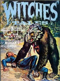 Cover Thumbnail for Witches Tales (Eerie Publications, 1969 series) #v3#2