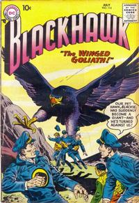 Cover Thumbnail for Blackhawk (DC, 1957 series) #114