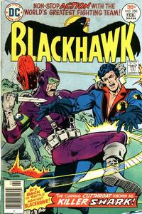 Cover Thumbnail for Blackhawk (DC, 1957 series) #250
