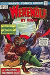 Cover for Werewolf by Night (Marvel, 1972 series) #19