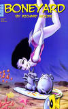Cover for Boneyard (NBM, 2001 series) #9