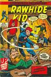 Cover for Rawhide Kid (Juniorpress, 1980 series) #8