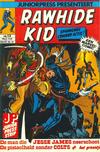 Cover for Rawhide Kid (Juniorpress, 1980 series) #12