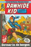 Cover for Rawhide Kid (Juniorpress, 1980 series) #14