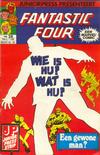 Cover for Fantastic Four (Juniorpress, 1979 series) #28