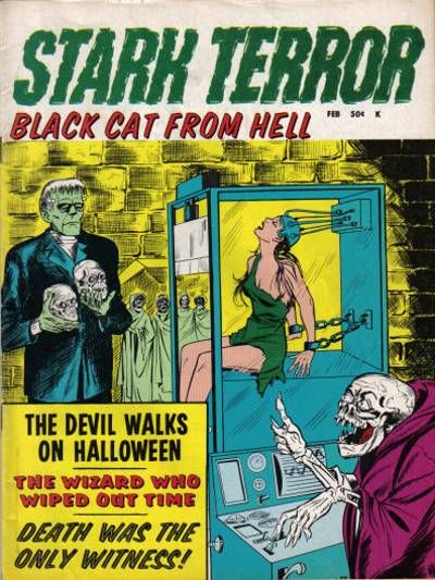 Cover for Stark Terror (Stanley Morse, 1970 series) #2